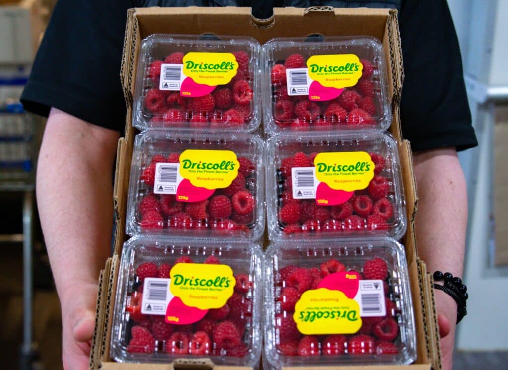 Greenlands Fresh Fruit VIC Raspberries