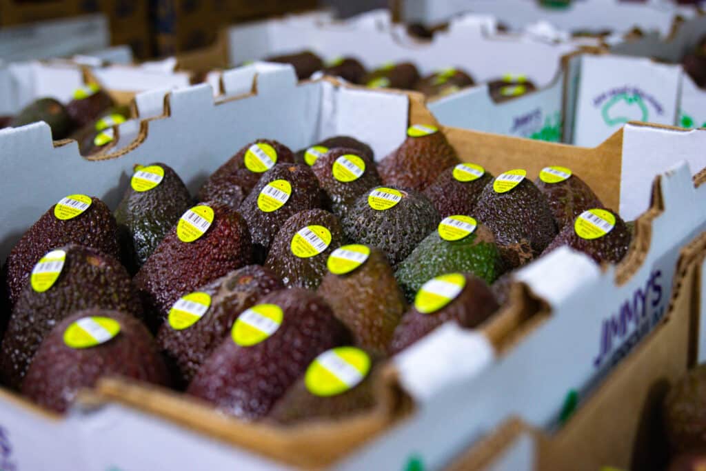 Greenlands Fresh Fruit and Vegetables Avocados