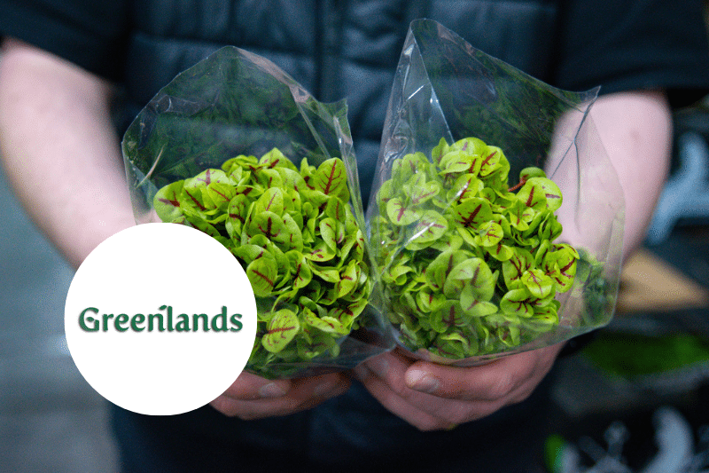 Greenlands Fruit – A Tale of Freshness, Quality & Partnership